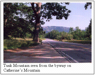 Text Box:  
Tunk Mountain seen from the byway on Catherine�s Mountain
